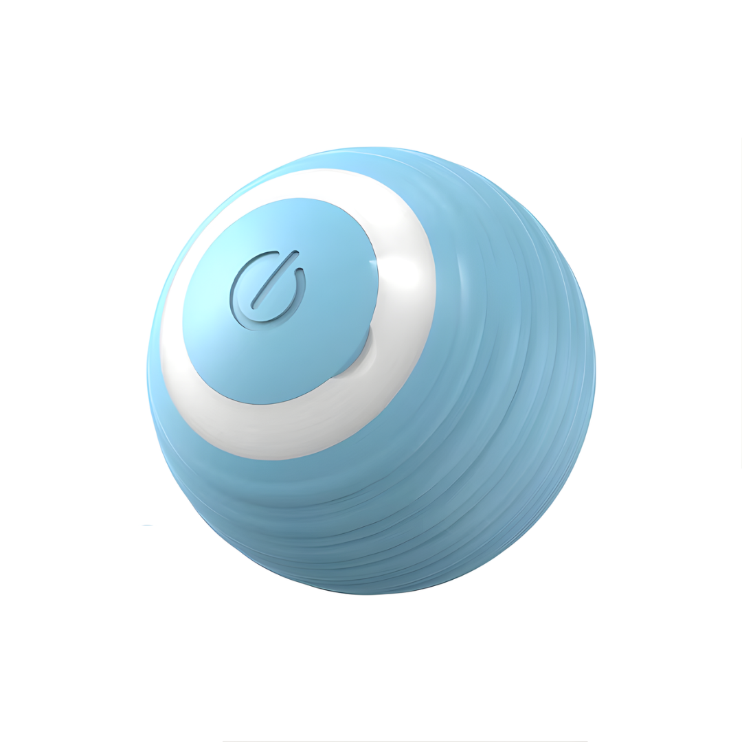 Magic Rolling Ball Toy